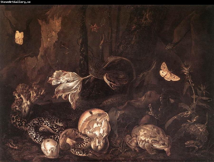 SCHRIECK, Otto Marseus van Still-Life with Insects and Amphibians ar